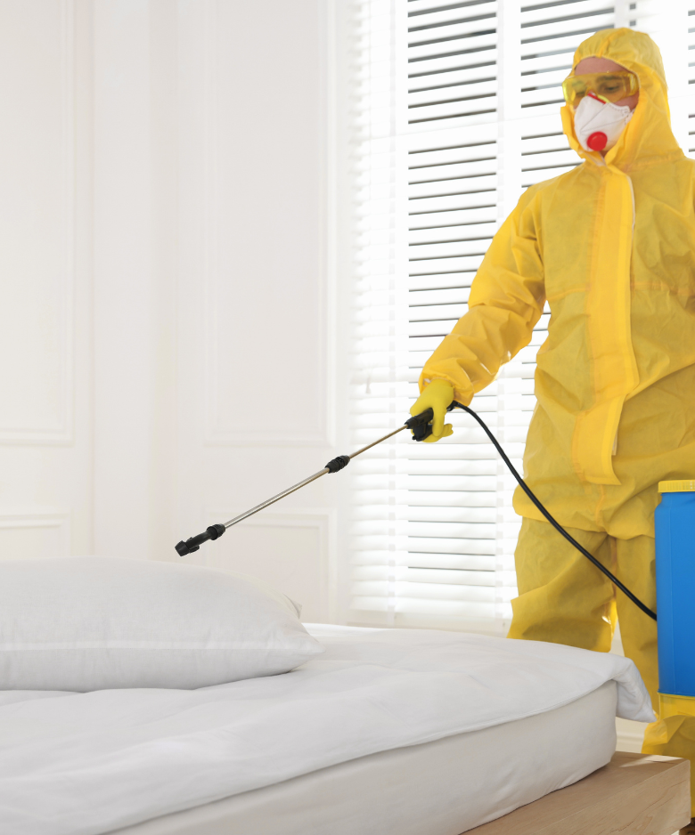 Professional Pest Control Team in Findon